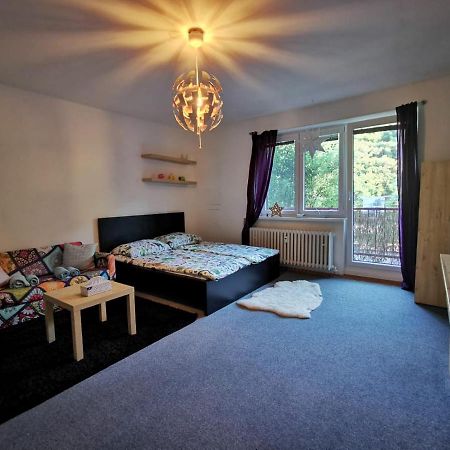 布尔诺Cely Apartman Podlesi 54M2 S Dvema Balkony A S Novou Manzelskou Posteli, Zatim Neni Na Fotkach公寓 外观 照片