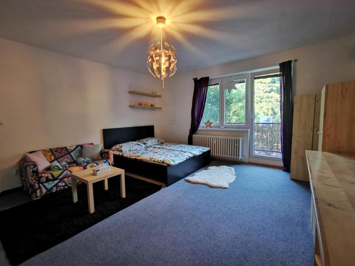 布尔诺Cely Apartman Podlesi 54M2 S Dvema Balkony A S Novou Manzelskou Posteli, Zatim Neni Na Fotkach公寓 外观 照片